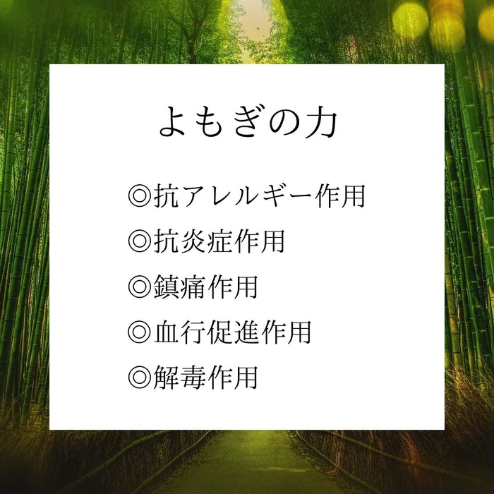 画像324