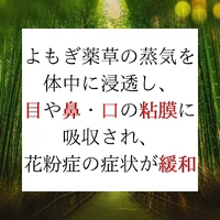 画像325