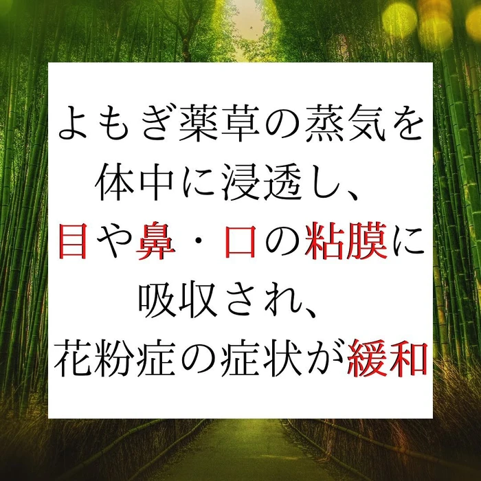 画像325